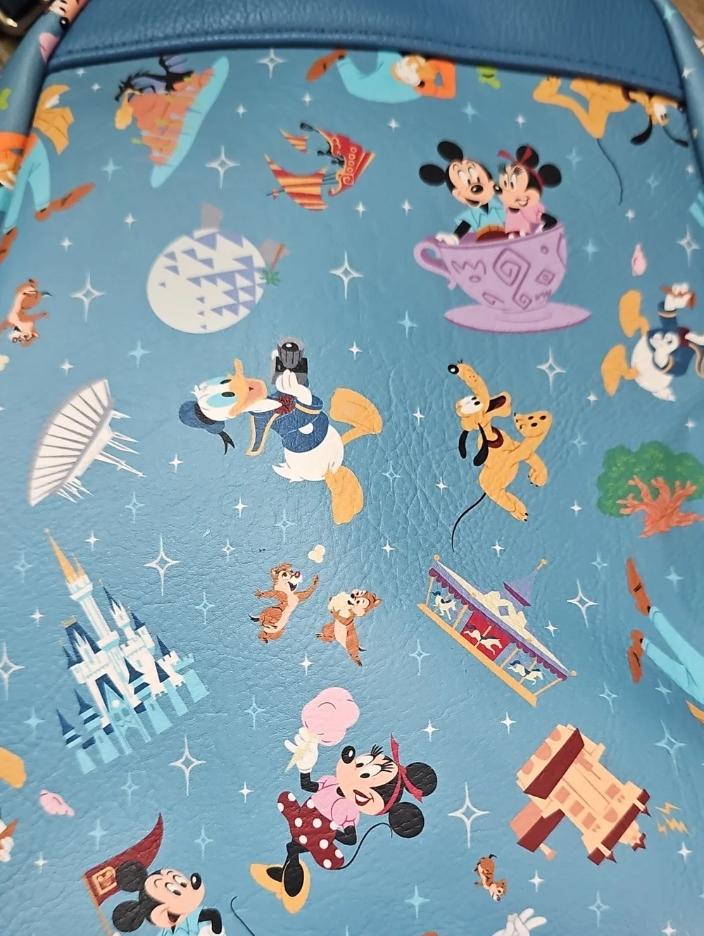 Disney parks life